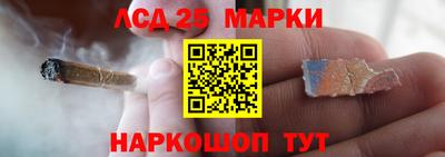 дмт Тара