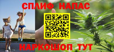 дмт Тара