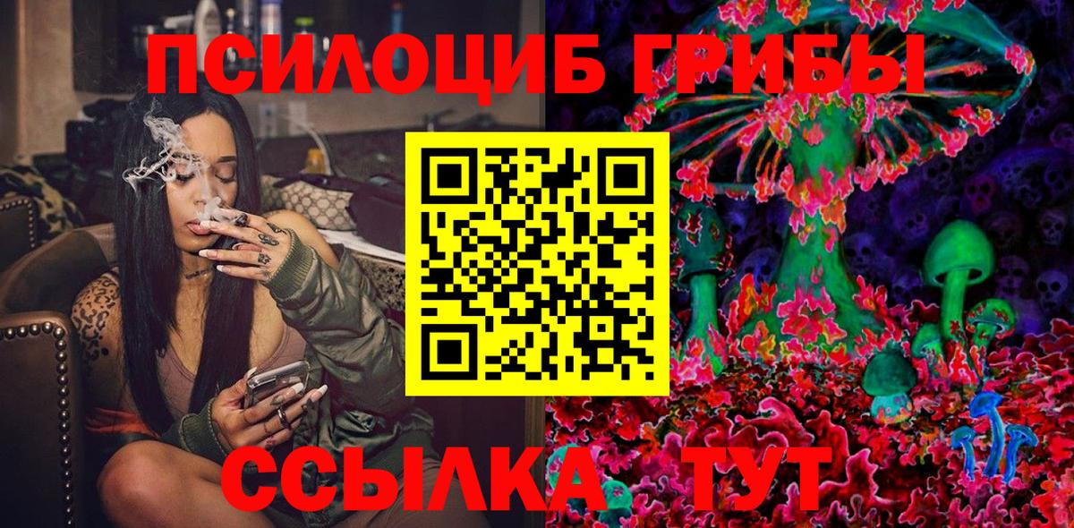 Барнаул  Псилоцибиновые грибы Psilocybe  Вход с VPN 